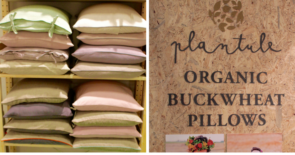 Organic Pillow with Buckwheat from Plantule